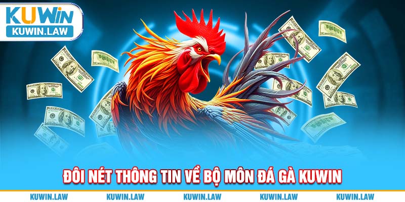 Đôi nét thông tin về bộ môn đá gà Kuwin