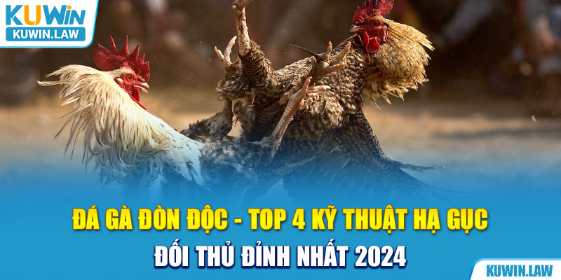 Đá Gà Đòn Độc - Top 4 Kỹ Thuật Hạ Gục Đối Thủ Đỉnh Nhất 2024