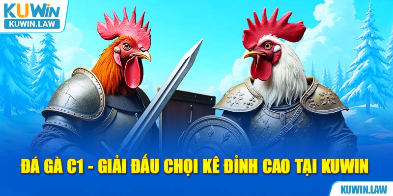 Đá Gà C1 - Giải Đấu Chọi Kê Đỉnh Cao Tại Kuwin